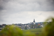 Fotowalk Steinberg - Fotograf Thomas Stähler