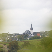 Fotowalk Steinberg - Fotograf Thomas Stähler