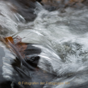 Fotowalk Theisstal - Fotograf Olaf Kratge