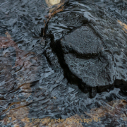 Fotowalk Theisstal - Fotograf Olaf Kratge