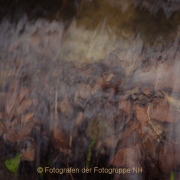 Fotowalk Theisstal - Fotograf Olaf Kratge
