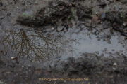 Fotowalk Theisstal - Fotograf  Werner Ch. Buchwald