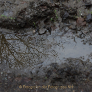 Fotowalk Theisstal - Fotograf  Werner Ch. Buchwald