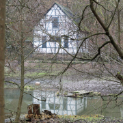 Fotowalk Theisstal - Fotograf Clemens Schnitzler