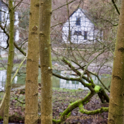 Fotowalk Theisstal - Fotograf Henry Mann