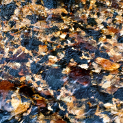 Fotowalk Theisstal - Fotograf Henry Mann