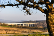 An der ICE-Trasse - Fotograf Albert Wenz