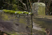 Fotowalk Zieglerort Wi-Bierstadt - Fotograf Helmut Joa