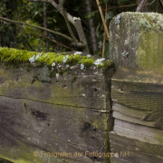 Fotowalk Zieglerort Wi-Bierstadt - Fotograf Helmut Joa