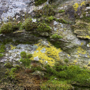 Fotowalk Zieglerort Wi-Bierstadt - Fotograf Helmut Joa