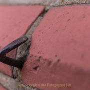 Fotowalk Zieglerort Wi-Bierstadt - Fotografin Jutta R. Buchwald