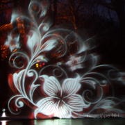 Winterlichter im Palmengarten - Fotograf Helmut Joa