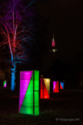 Winterlichter im Palmengarten - Fotografin Jutta R. Buchwald