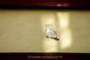 Limburg - Fachwerk - Fotografin Jutta R. Buchwald