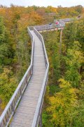 Baumwipfelpfad Bad Camberg - Fotograf Ahmed Touil
