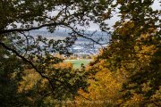 Baumwipfelpfad Bad Camberg - Fotografin Jutta R. Buchwald