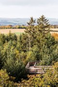 Baumwipfelpfad Bad Camberg - Fotografin Jutta R. Buchwald