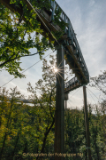 Baumwipfelpfad Bad Camberg - Fotograf Olaf Kratge