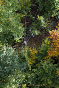 Baumwipfelpfad Bad Camberg - Fotograf Werner Ch. Buchwald