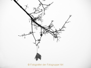 Fotowalk Bad Camberg - Fotografin Anne Jeuk