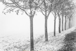 Fotowalk Bad Camberg - Fotograf  Stefan Zimmermann