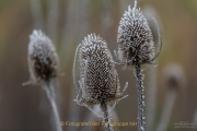 Fotowalk Bad Camberg - Fotograf Clemens Schnitzler