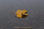 Fotowalk Bad Camberg - Fotograf Clemens Schnitzler