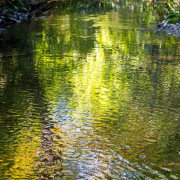 Fotowalk Bad Nauheim - Fotograf Joachim Clemens