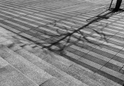 Fotowalk Bad Soden - Fotografin Anne Jeuk