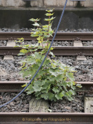 Stefan_Zimmermann_Bahnhof-05