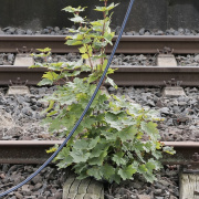Stefan_Zimmermann_Bahnhof-05