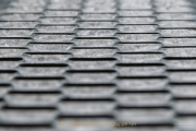clemschn_bhf_ndhsn_3802
