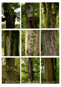 Fotowalk Bergpark Eppstein - Fotografin Nicole Gieseler