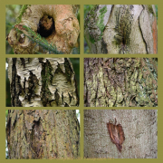 Fotowalk Bergpark Eppstein - Fotograf Christoph Fuhrmann