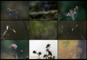 Fotowalk Bergpark Eppstein - Fotografin Jutta R. Buchwald