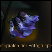 Fotowalk Bergpark Eppstein - Fotografin Jutta R. Buchwald