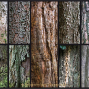 Fotowalk Bergpark Eppstein - Fotograf Helmut Joa