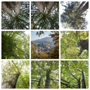 Fotowalk Bergpark Eppstein - Fotograf Thomas Stähler