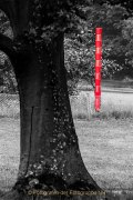 Fotowalk Blickachsen Kurpark Bad Homburg - Fotografin Jutta R. Buchwald