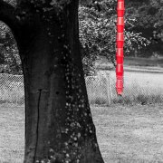 Fotowalk Blickachsen Kurpark Bad Homburg - Fotografin Jutta R. Buchwald