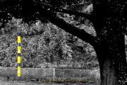 Fotowalk Blickachsen Kurpark Bad Homburg - Fotografin Jutta R. Buchwald
