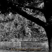 Fotowalk Blickachsen Kurpark Bad Homburg - Fotografin Jutta R. Buchwald