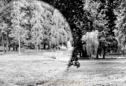 Fotowalk Blickachsen Kurpark Bad Homburg - Fotografin Jutta R. Buchwald