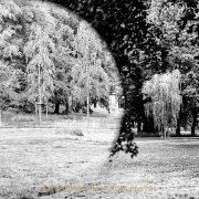 Fotowalk Blickachsen Kurpark Bad Homburg - Fotografin Jutta R. Buchwald