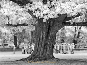 Fotowalk Blickachsen Kurpark Bad Homburg - Fotograf Stefan Zimmermann
