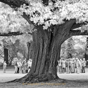 Fotowalk Blickachsen Kurpark Bad Homburg - Fotograf Stefan Zimmermann