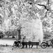 Fotowalk Blickachsen Kurpark Bad Homburg - Fotograf Stefan Zimmermann