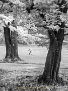 Fotowalk Blickachsen Kurpark Bad Homburg - Fotograf Stefan Zimmermann