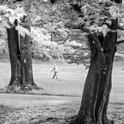Fotowalk Blickachsen Kurpark Bad Homburg - Fotograf Stefan Zimmermann
