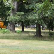Fotowalk Blickachsen Kurpark Bad Homburg - Fotograf Werner Ch. Buchwald